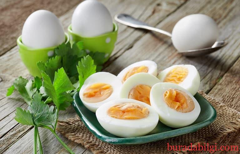 Yumurta Diyeti Nedir ? Nasıl Yapılır ? 14 Günde 10 Kilo Verdiren Diyet